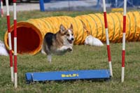 IMG_9396