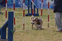 IMG_9472