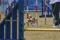 IMG_9496