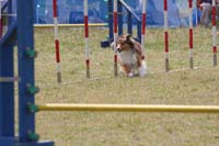 IMG_9513