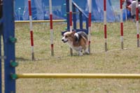 IMG_9519