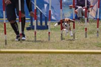 IMG_9524