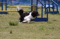 IMG_9532