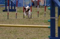 IMG_9564
