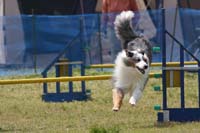 IMG_9586