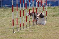 IMG_9598