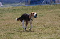 IMG_9735