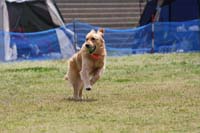 IMG_9746