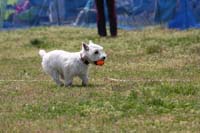 IMG_9762