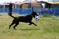 IMG_9786