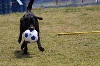 IMG_9797