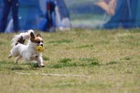 IMG_9807